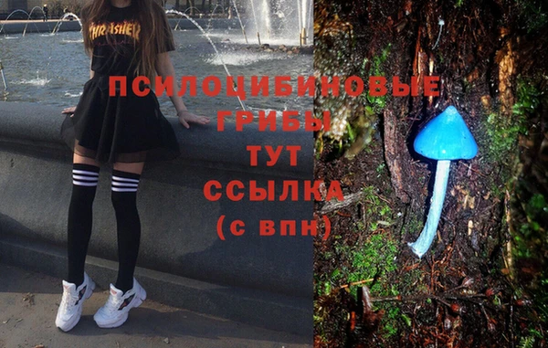 бутират Белокуриха