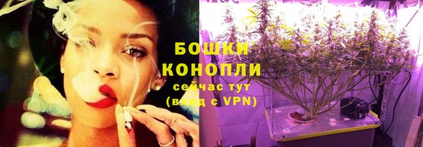 бутират Белокуриха