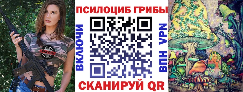 гидра ССЫЛКА  Короча  Галлюциногенные грибы Magic Shrooms  где купить наркотик 